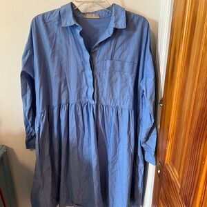 Everlane light blue collar button up dress